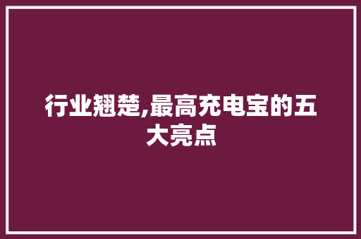 行业翘楚,最高充电宝的五大亮点