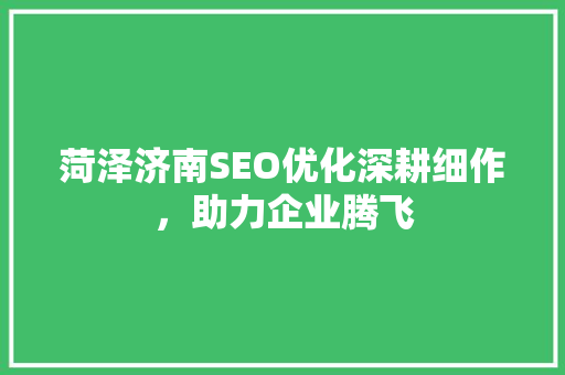 菏泽济南SEO优化深耕细作，助力企业腾飞