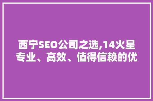 西宁SEO公司之选,14火星专业、高效、值得信赖的优化专家
