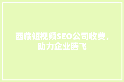 西藏短视频SEO公司收费，助力企业腾飞