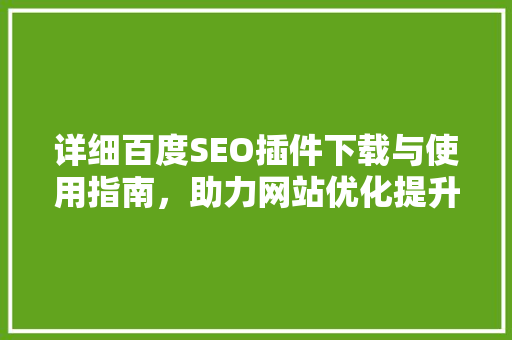 详细百度SEO插件下载与使用指南，助力网站优化提升排名