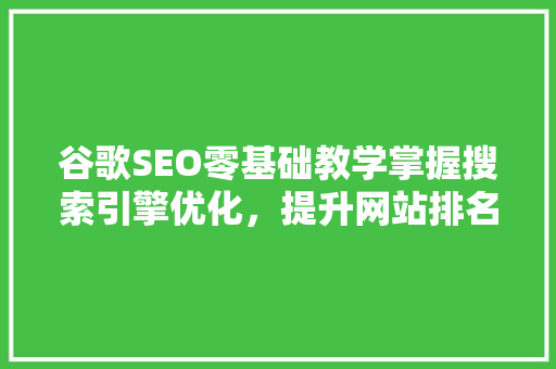 谷歌SEO零基础教学掌握搜索引擎优化，提升网站排名