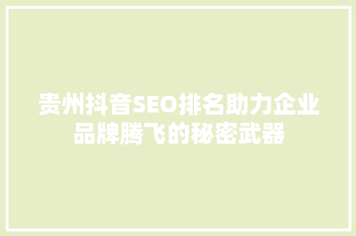 贵州抖音SEO排名助力企业品牌腾飞的秘密武器