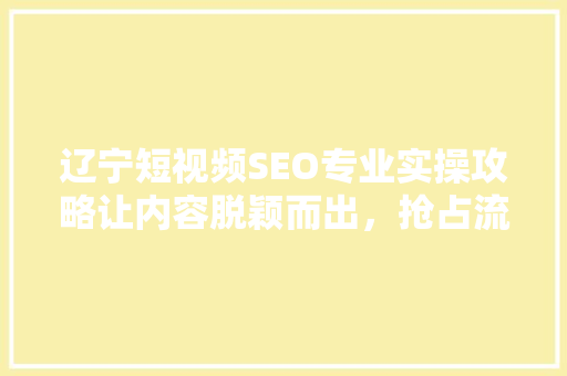 辽宁短视频SEO专业实操攻略让内容脱颖而出，抢占流量高地