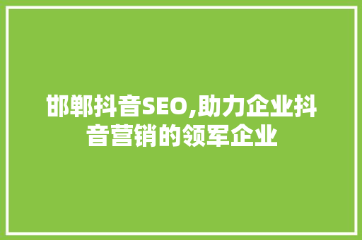 邯郸抖音SEO,助力企业抖音营销的领军企业