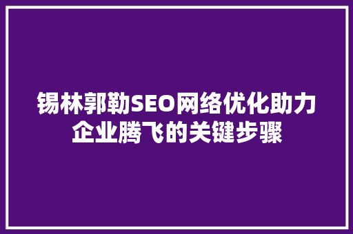 锡林郭勒SEO网络优化助力企业腾飞的关键步骤