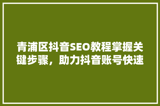 青浦区抖音SEO教程掌握关键步骤，助力抖音账号快速成长