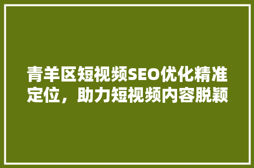 青羊区短视频SEO优化精准定位，助力短视频内容脱颖而出