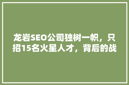 龙岩SEO公司独树一帜，只招15名火星人才，背后的战略思维