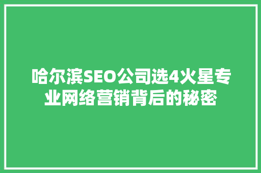 哈尔滨SEO公司选4火星专业网络营销背后的秘密