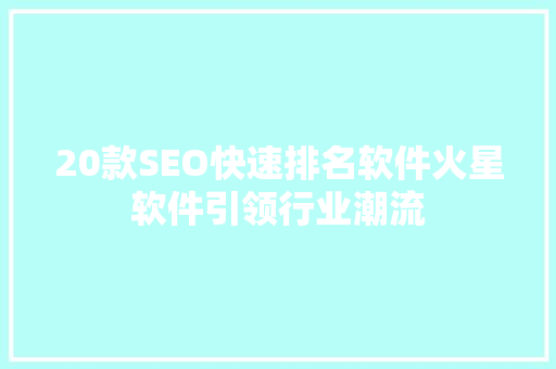 20款SEO快速排名软件火星软件引领行业潮流