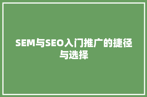 SEM与SEO入门推广的捷径与选择