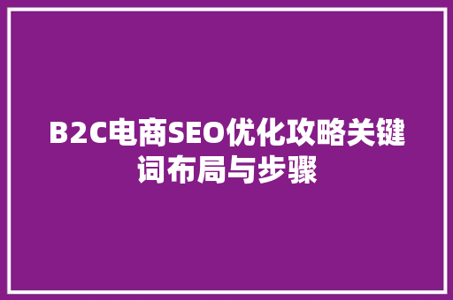 B2C电商SEO优化攻略关键词布局与步骤