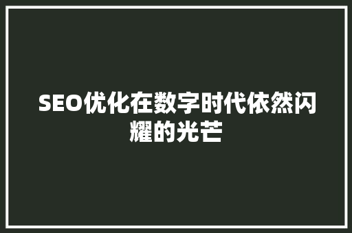 SEO优化在数字时代依然闪耀的光芒