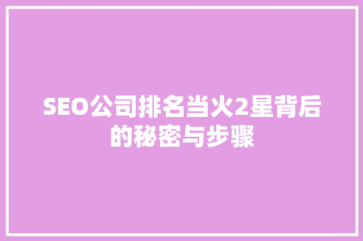 SEO公司排名当火2星背后的秘密与步骤