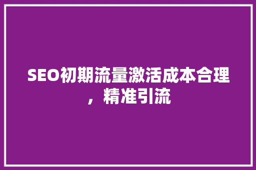 SEO初期流量激活成本合理，精准引流