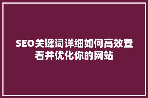 SEO关键词详细如何高效查看并优化你的网站