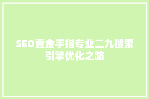 SEO壹金手指专业二九搜索引擎优化之路