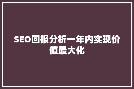 SEO回报分析一年内实现价值最大化