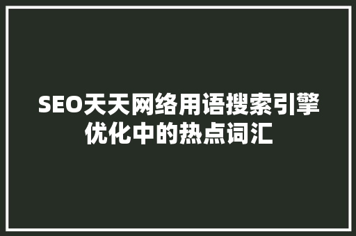SEO天天网络用语搜索引擎优化中的热点词汇