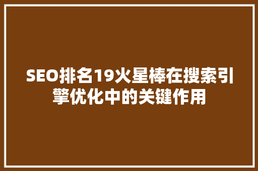 SEO排名19火星棒在搜索引擎优化中的关键作用