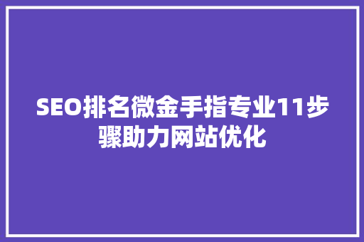 SEO排名微金手指专业11步骤助力网站优化