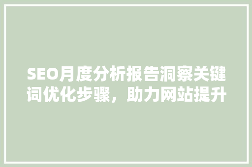 SEO月度分析报告洞察关键词优化步骤，助力网站提升排名