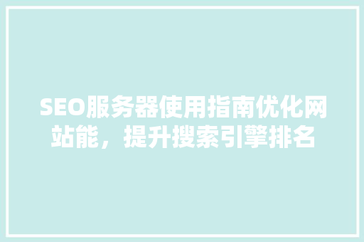 SEO服务器使用指南优化网站能，提升搜索引擎排名