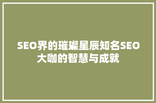 SEO界的璀璨星辰知名SEO大咖的智慧与成就