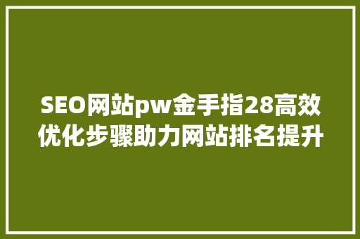 SEO网站pw金手指28高效优化步骤助力网站排名提升