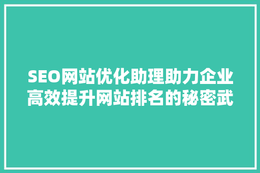 SEO网站优化助理助力企业高效提升网站排名的秘密武器
