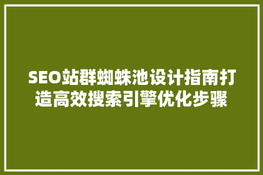 SEO站群蜘蛛池设计指南打造高效搜索引擎优化步骤