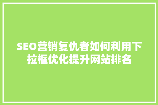 SEO营销复仇者如何利用下拉框优化提升网站排名