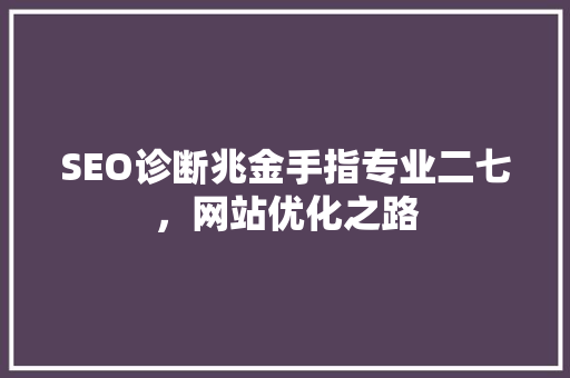 SEO诊断兆金手指专业二七，网站优化之路