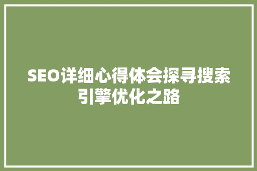 SEO详细心得体会探寻搜索引擎优化之路