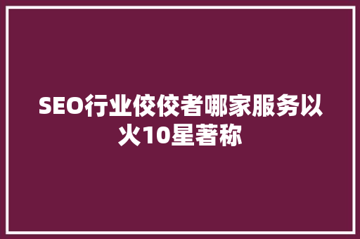 SEO行业佼佼者哪家服务以火10星著称