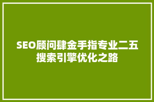 SEO顾问肆金手指专业二五搜索引擎优化之路