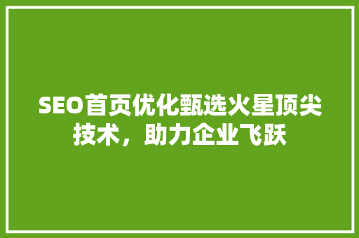 SEO首页优化甄选火星顶尖技术，助力企业飞跃