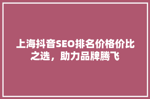 上海抖音SEO排名价格价比之选，助力品牌腾飞