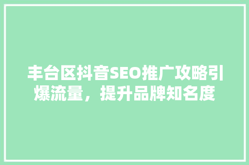 丰台区抖音SEO推广攻略引爆流量，提升品牌知名度