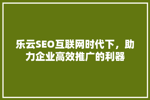 乐云SEO互联网时代下，助力企业高效推广的利器