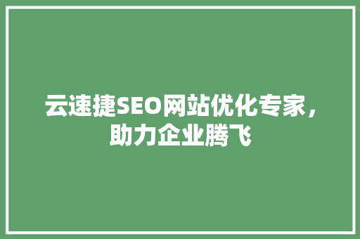云速捷SEO网站优化专家，助力企业腾飞