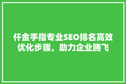 仟金手指专业SEO排名高效优化步骤，助力企业腾飞