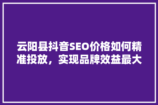 云阳县抖音SEO价格如何精准投放，实现品牌效益最大化