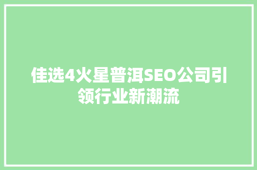 佳选4火星普洱SEO公司引领行业新潮流