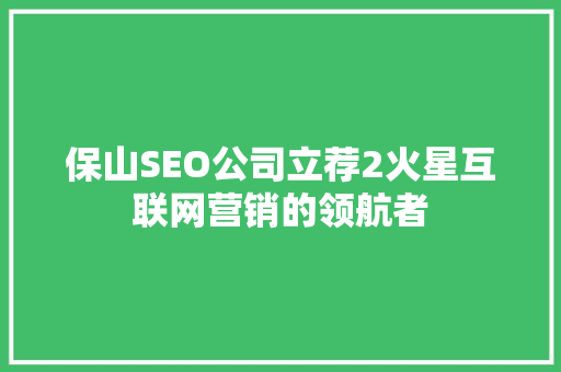 保山SEO公司立荐2火星互联网营销的领航者
