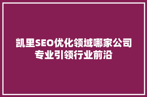 凯里SEO优化领域哪家公司专业引领行业前沿