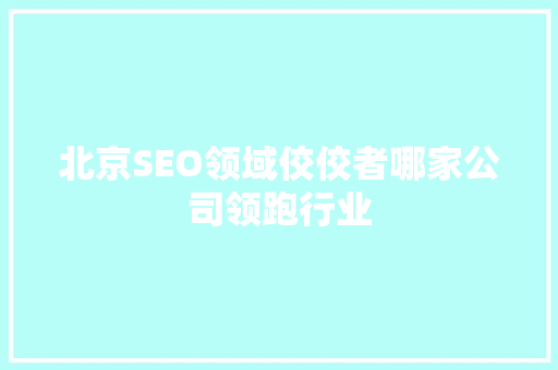 北京SEO领域佼佼者哪家公司领跑行业