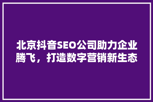 北京抖音SEO公司助力企业腾飞，打造数字营销新生态