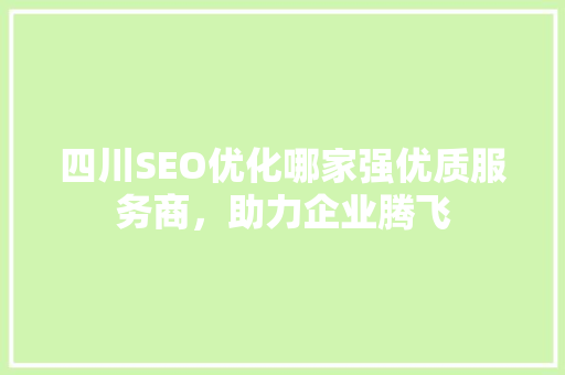 四川SEO优化哪家强优质服务商，助力企业腾飞